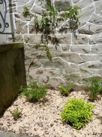 Après un grand coup de balais!