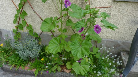 Amélioré qu'avec de la récup