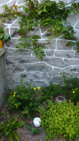 Après quelques semaines