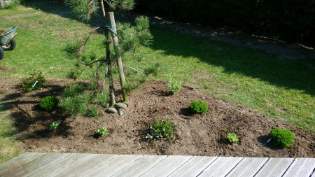 La plantation du massif